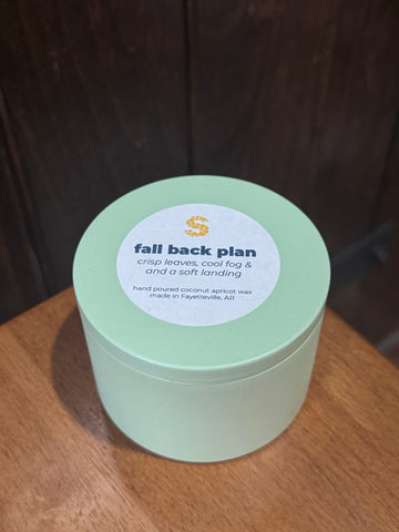 Fall Back Plan