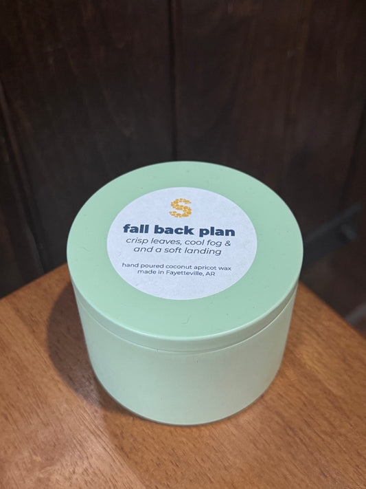 Fall Back Plan